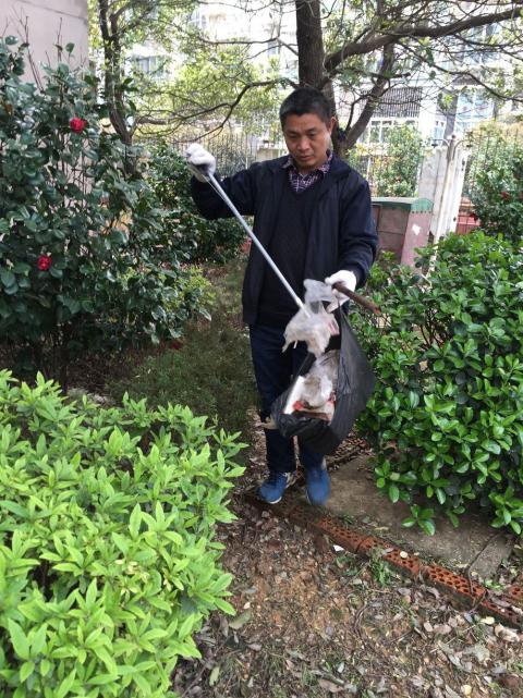 �����󺦡�Ԥ��������������������������Э����������